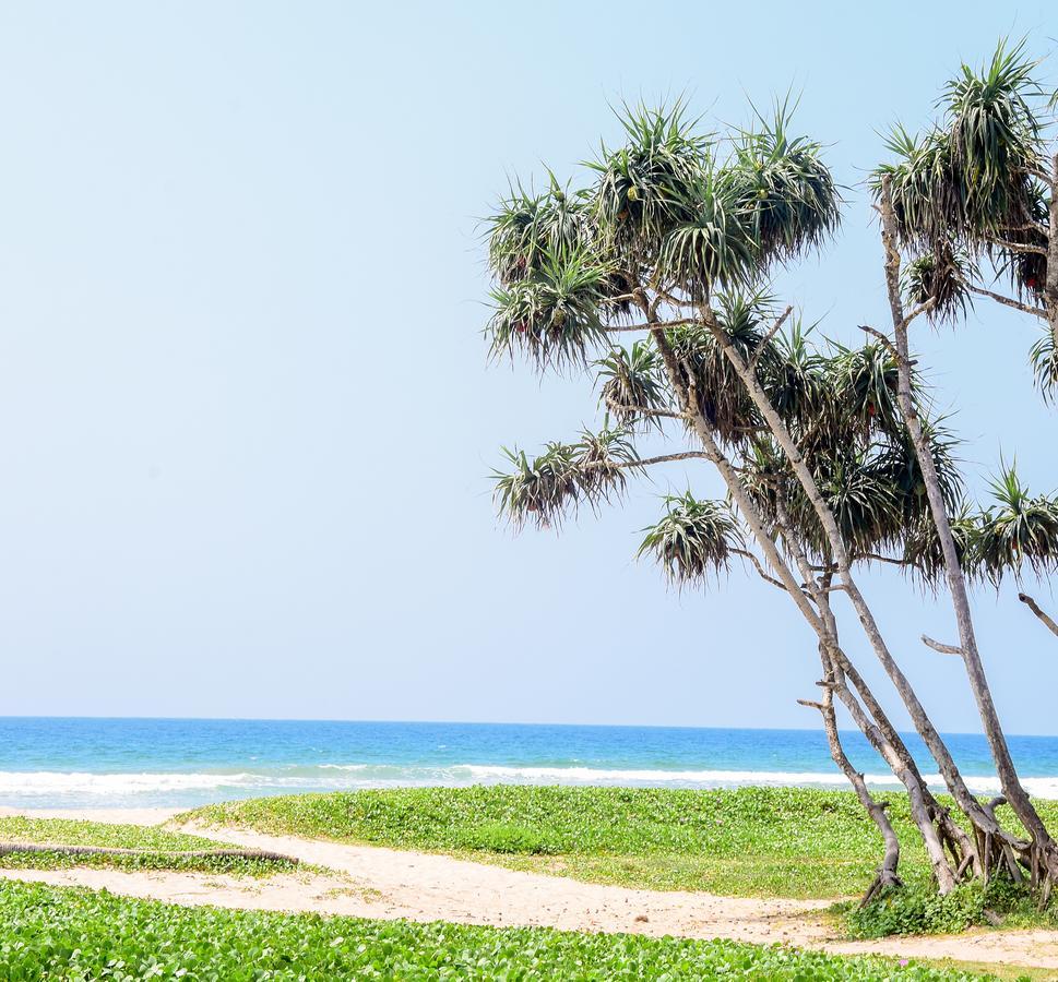 Channa Villa&Tours Bentota Esterno foto